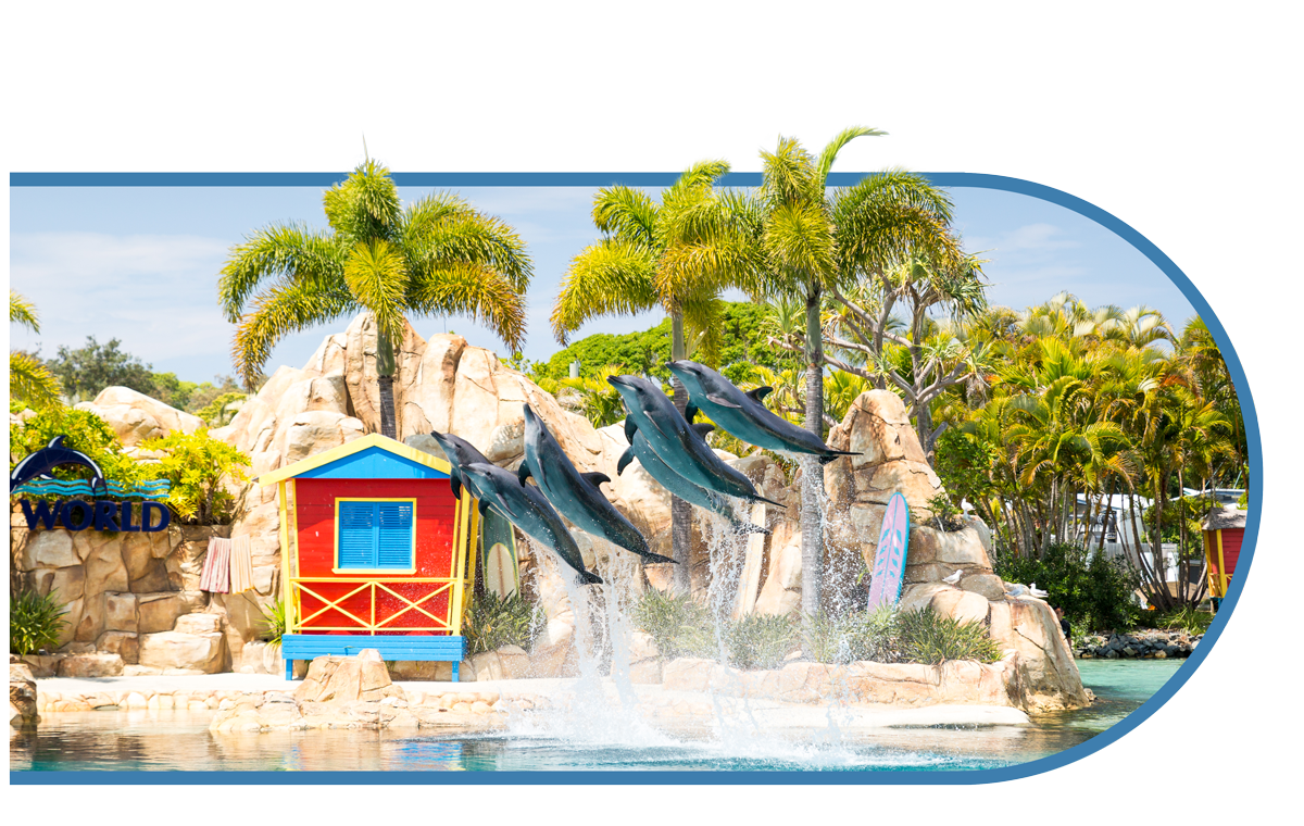 SeaWorldHomepageDestination