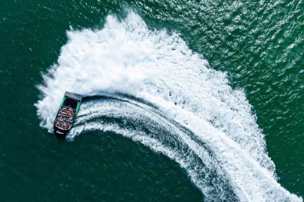 DJI_20231219143709_0703_D